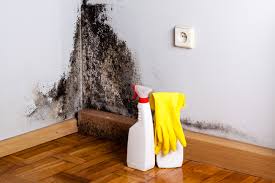 Passaic, NJ Mold Remediation Company